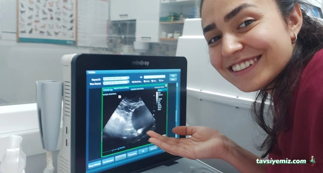 Bağcılar Acil Veteriner/Bağcılar Veteriner Kliniği