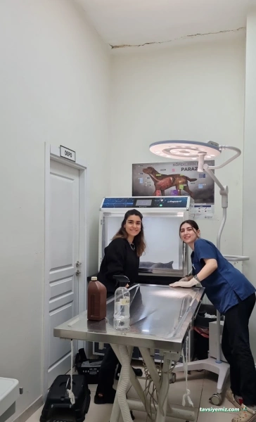 Bağcılar Acil Veteriner/Bağcılar Veteriner Kliniği