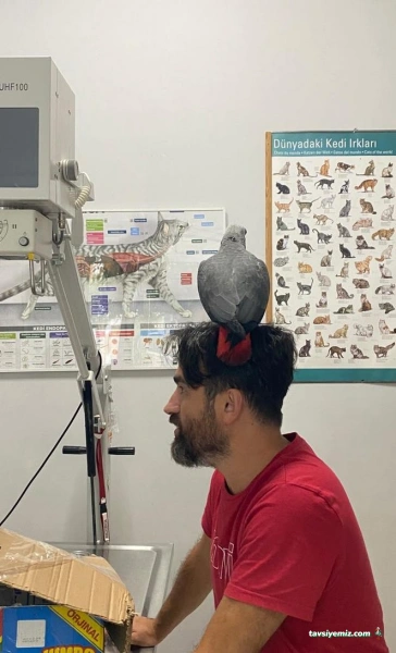 Bağcılar Acil Veteriner/Bağcılar Veteriner Kliniği