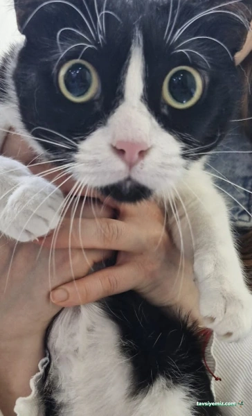 Bahar Veteriner Kliniği