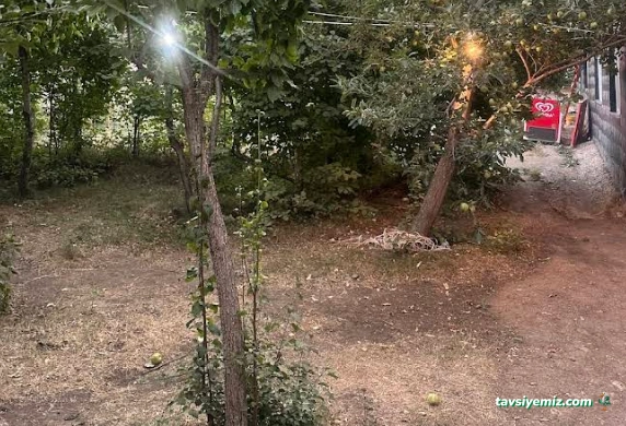 Bahçe Cafe Restorant