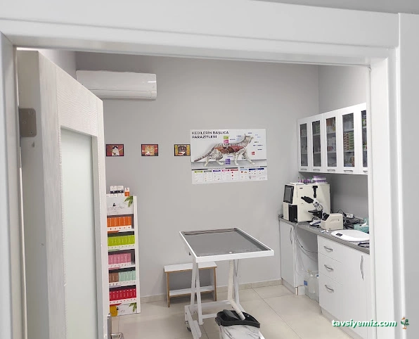 Bal Peteği Veteriner Kliniği