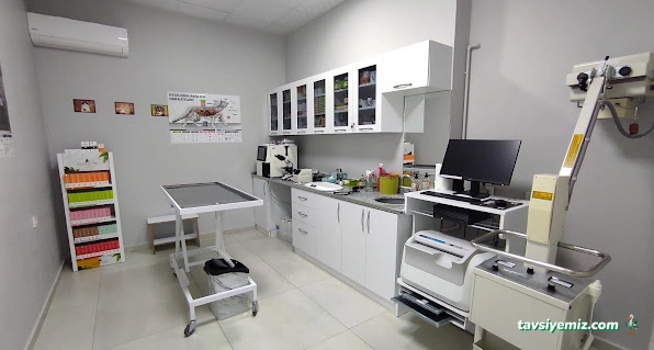 Bal Peteği Veteriner Kliniği