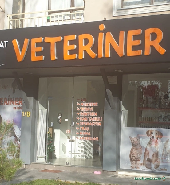 Balgat Veteriner Kliniği