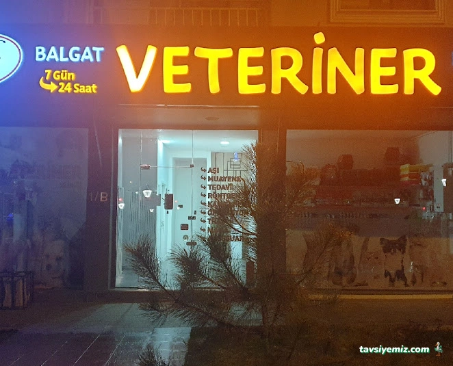 Balgat Veteriner Kliniği