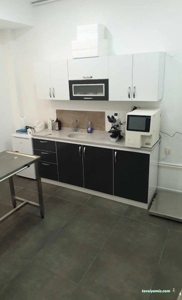 Balgat Veteriner Kliniği