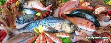 Balık Dünyası Muğla