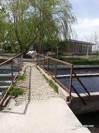 Balık Tesisi Güroymak