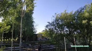 Balık Tesisi Güroymak