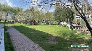 Balık Tesisi Güroymak