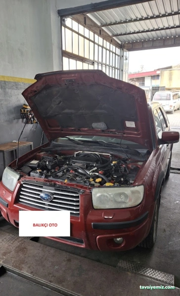 Balıkçı Oto Özel Servis