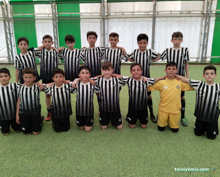 Balıkesir Altay Spor Kulubu