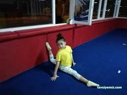 Balikesir Cimnastik Eson Spor Kulübü