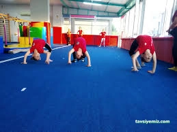 Balikesir Cimnastik Eson Spor Kulübü