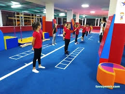 Balikesir Cimnastik Eson Spor Kulübü