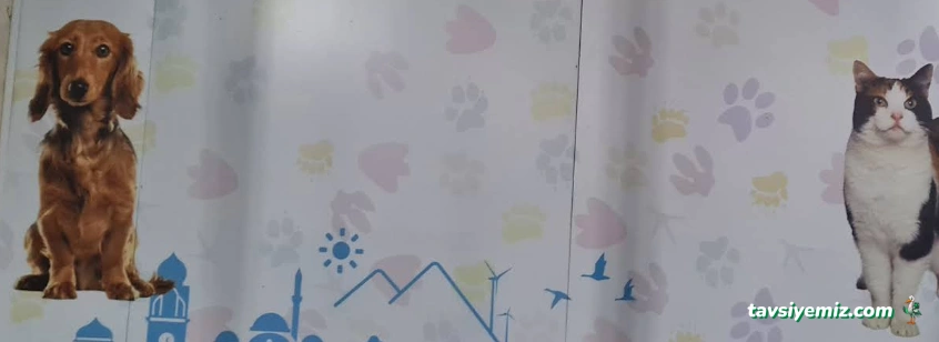 Balıkesir Sokak Hayvanları Bakımevi