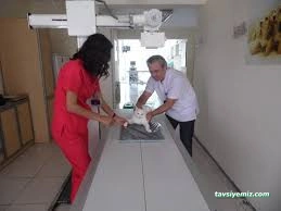 Balıkesir Veteriner Kliniği - Akademi