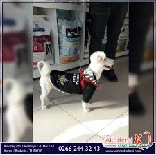 Balıkesir Veteriner Kliniği - Akademi