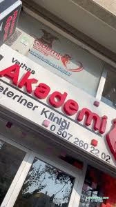Balıkesir Veteriner Kliniği - Akademi