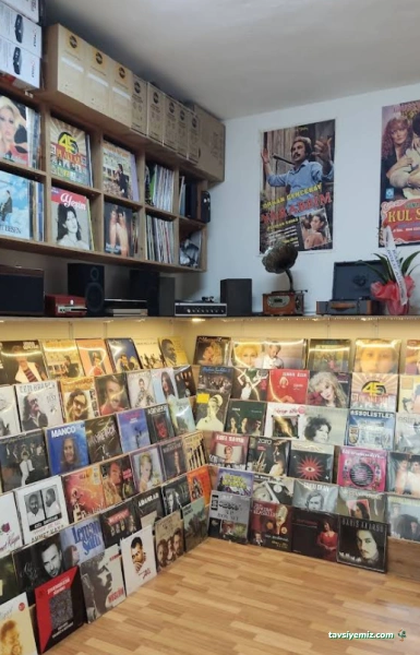 Balkes Plak Ve Pikap Evi