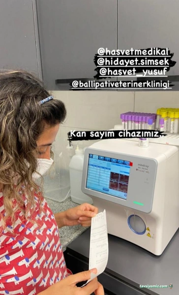 Ballı Pati Veteriner Kliniği