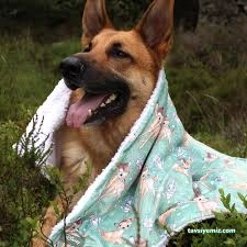 Bambi Pet Market&Kuaför&Otel