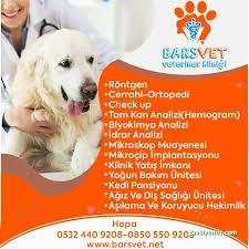 Barsvet Veteriner Kliniği