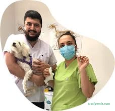 Bartın Anka Veteriner Kliniği