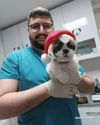 Bartın Anka Veteriner Kliniği