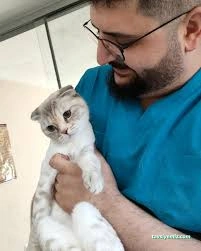 Bartın Anka Veteriner Kliniği