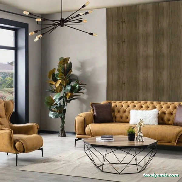 Başkent Mobilya Isparta