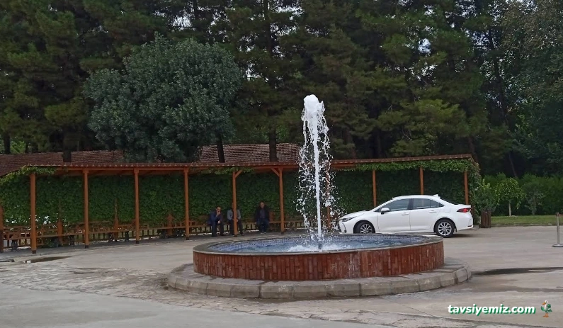 Batman Sosyal Yardımlaşma Ve Dayanışma Vakfı