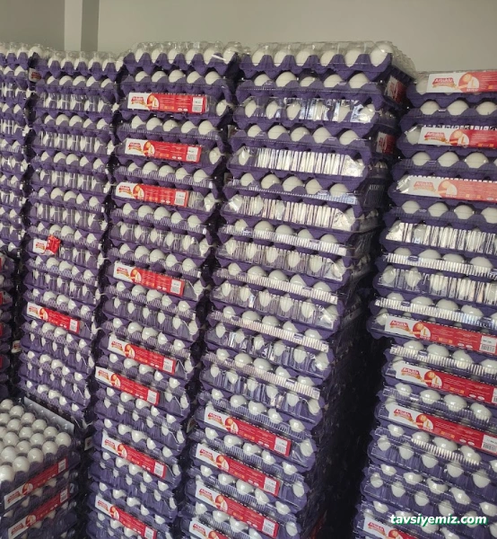 Batman Toptan Midyat Yumurta