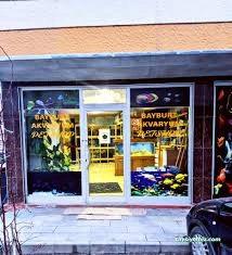 Bayburt Akvaryum Petshop