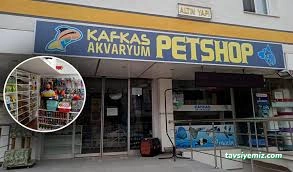 Bayburt Akvaryum Petshop