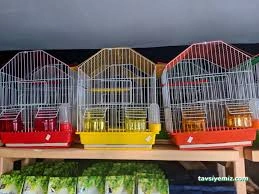 Bayburt Akvaryum Petshop