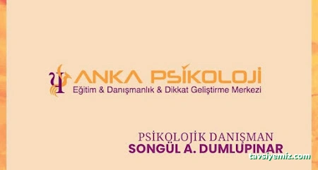 Bayburt Anka Psikoloji- Eğitim&Danışmanlık& Dikkat Geliştirme Merkezi