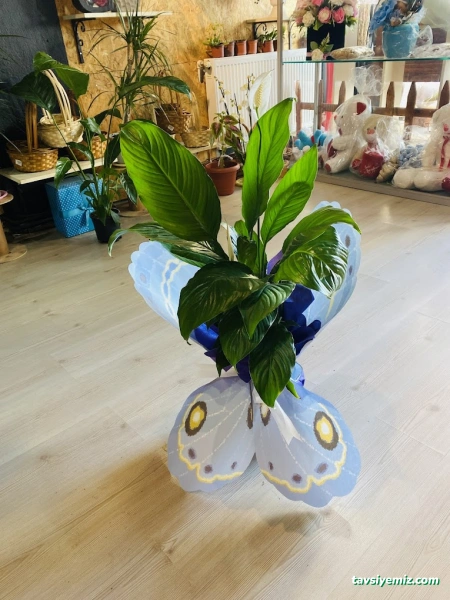 Bayburt Çiçekçi Dünyası