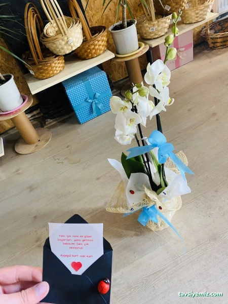 Bayburt Çiçekçi Dünyası