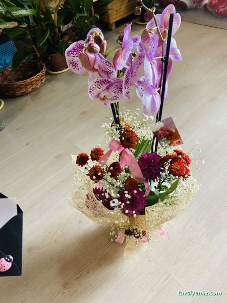 Bayburt Çiçekçi Dünyası