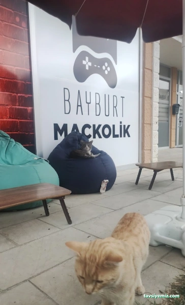Bayburt Maçkolik Playstation