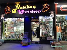 Baykuş Petshop