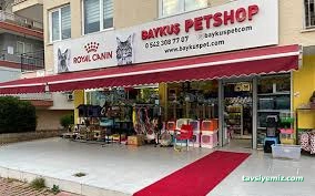 Baykuş Petshop