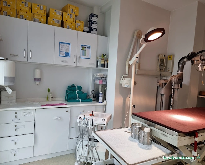 Bayrampaşa Nöbetçi 7/24 Veteriner Pet Address Veteriner Polikliniği