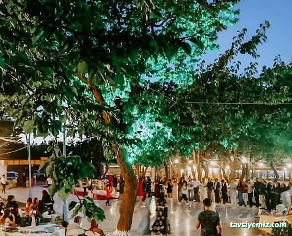 Çam Kır Düğünü & Restaurant