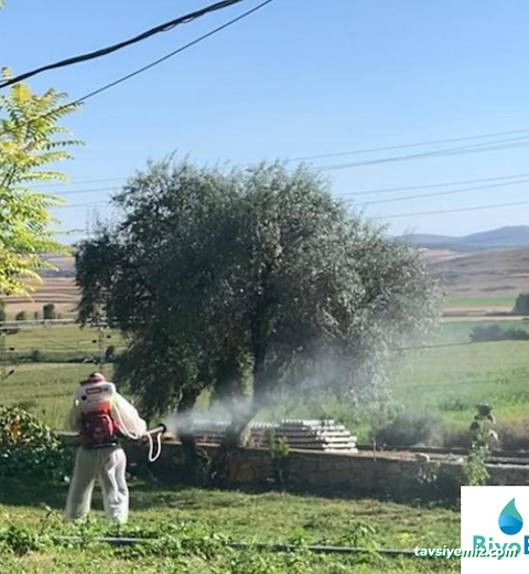 Biyoes İlaçlama Dezenfeksiyon