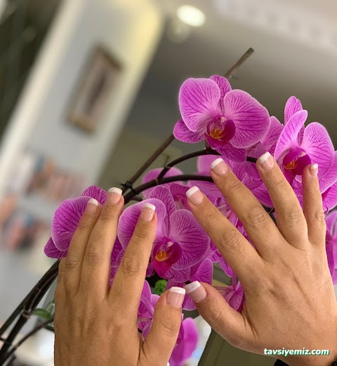 Medikalipo Güzellik Merkezi