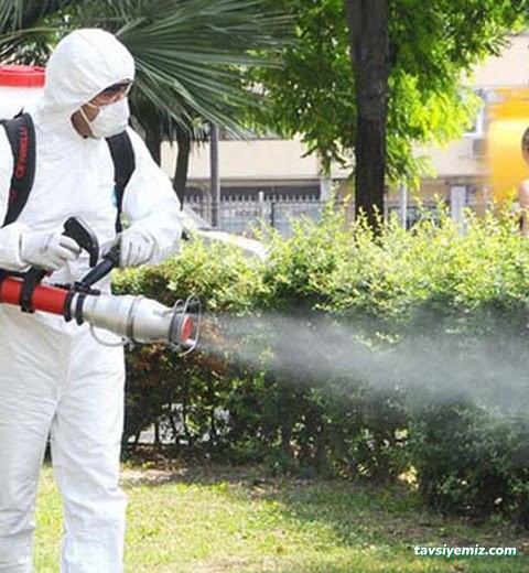 Postallı İlaçlama | Kayseri Böcek İlaçlama