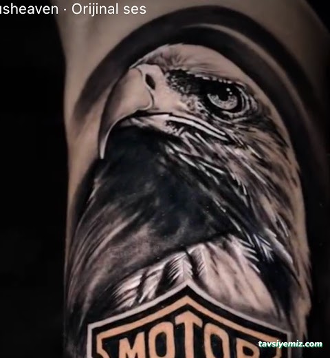 Porex Diyarbakır Dövme