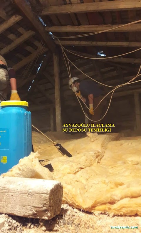 Ayvazoğlu İlaçlama Ve Su Depo Temizlik Dezenfekte